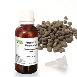 Ambrette Absolute Oil 1 | 10 10 India Ayurveda Online India Ayurveda Online