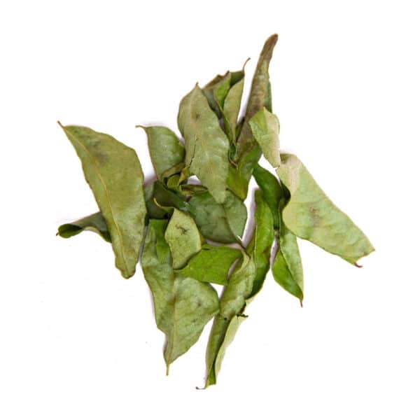 CURRY LEAVES | 2 2 India Ayurveda Online India Ayurveda Online curry leaves dried curry leaves dried