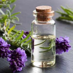 bottle of lavender essential oil | 8 8 India Ayurveda Online India Ayurveda Online