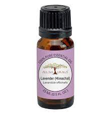 Natural Lavender Oil