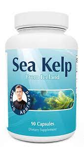 Dr. Berg Nutritionals Sea Kelp From Iceland Capsule